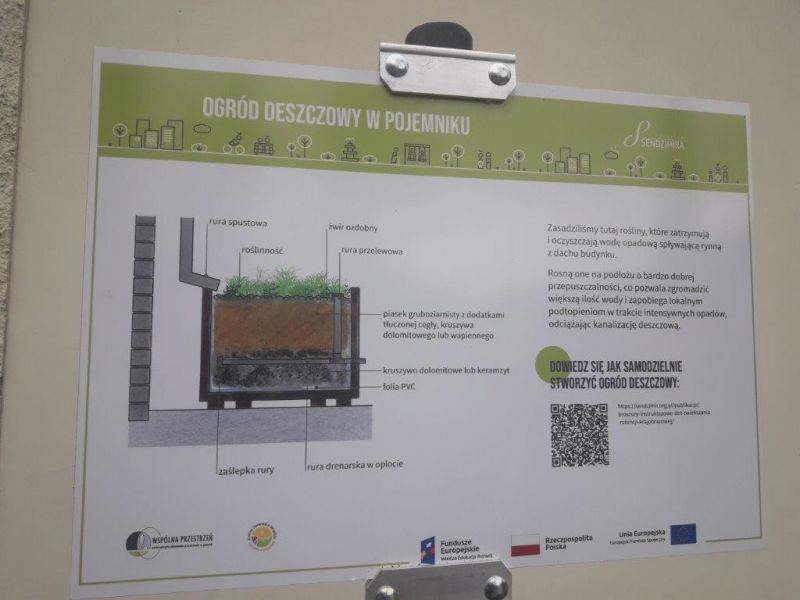 Tablica informacyjna dot. działania deszczowego ogrodu