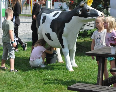 DSC   kopia  Copy  3508