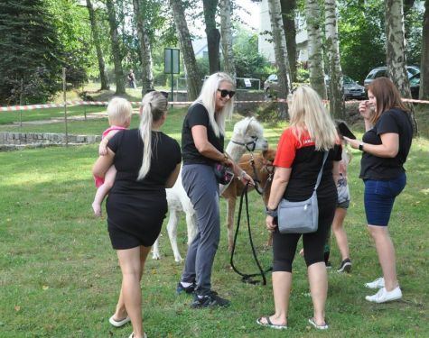 DSC   kopia   kopia  Copy  3517