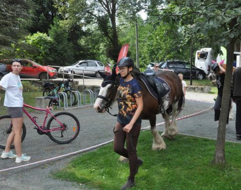 DSC   kopia   kopia  Copy  3521