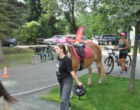 DSC   kopia   kopia  Copy  3523