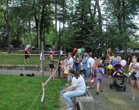 DSC   kopia   kopia  Copy  3529