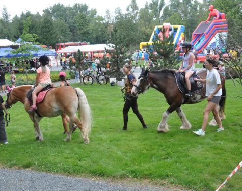 DSC   kopia  Copy  3537