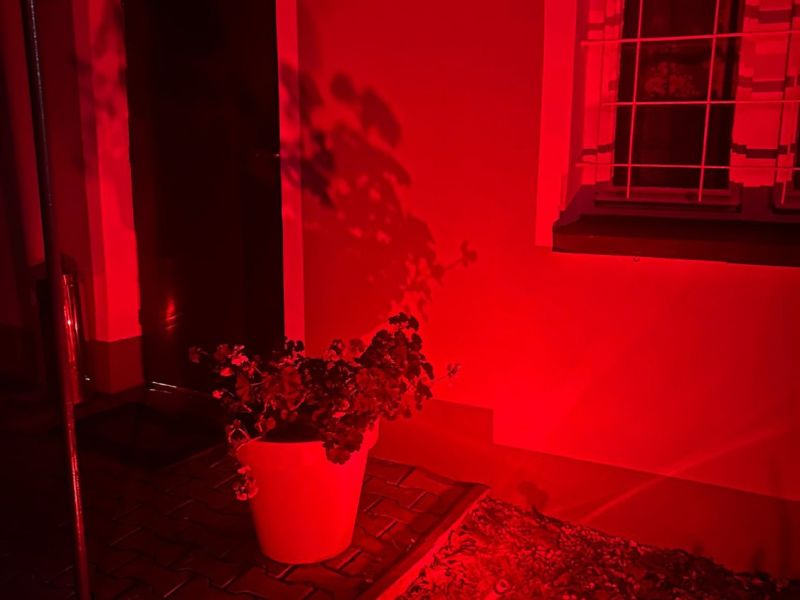 Zdjecie WhatsApp 11 19 o 17.08.44 a5deb42c 5272