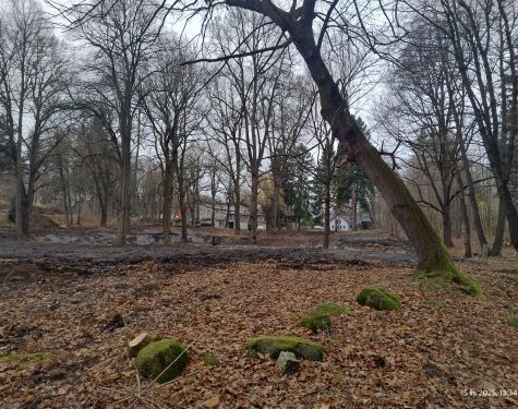 IMG 133413530 HDR 5408