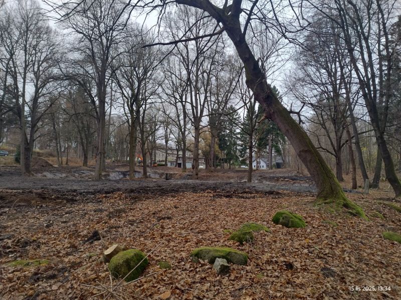 IMG 133413530 HDR 5408