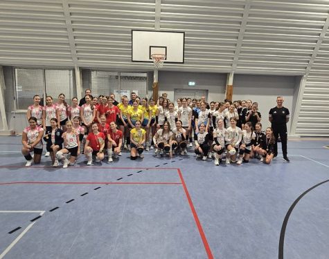 Pilka siatkowa Luban UKS 3 5413