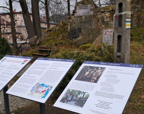 WhatsApp Image 03 12 at 10.07.25  1  5619