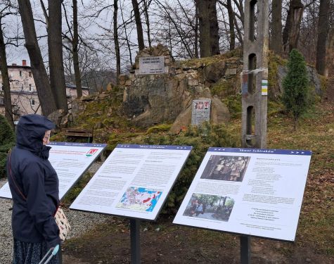 WhatsApp Image 03 12 at 10.07.25 5618